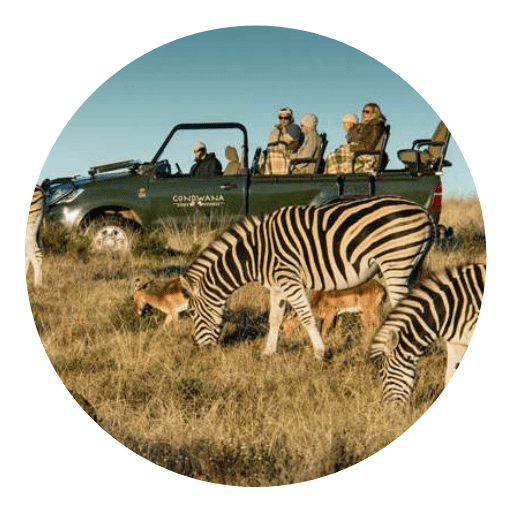 ES Camps - Aquila Game Reserve-นาที