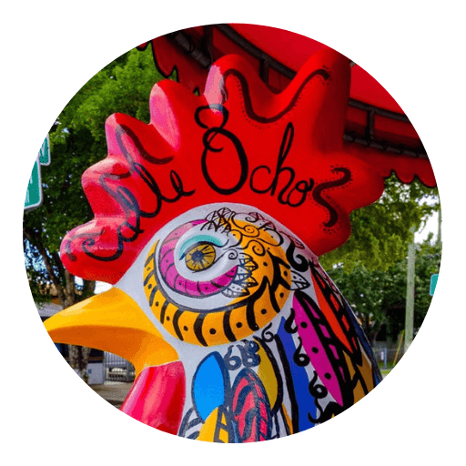 Campi ES - Little Havana