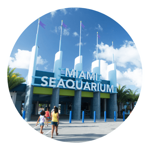 Campi ES - Acquario marino di Miami