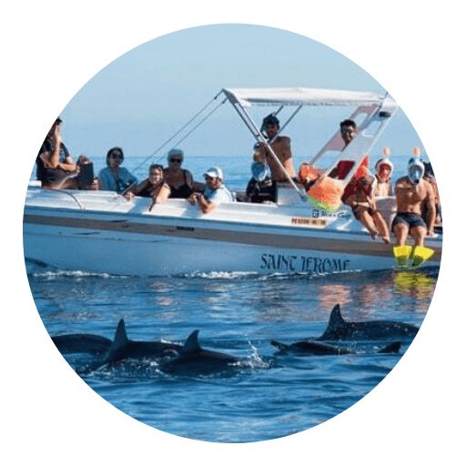 Campi ES - Ile Aux Doplhin