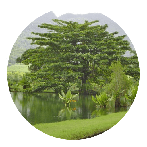 Campi ES - Parco Nazionale
