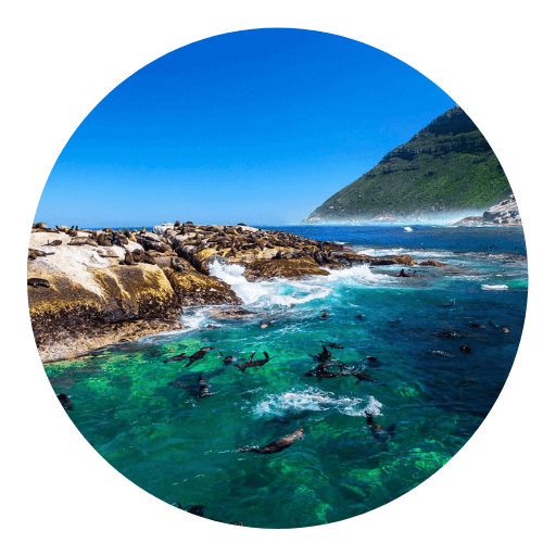 ค่าย ES - Seal Island