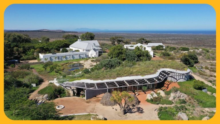 ES Camps - Visit Yas Waterworld Water Park with ES Camps summer camps in cape town summer school programs ES Camps in Cape Town