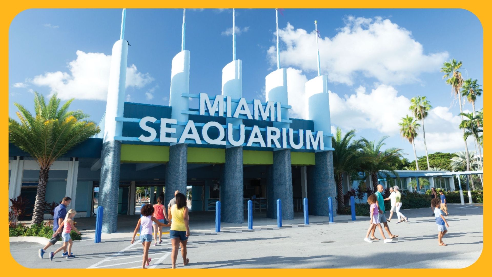 ES Camps - Visit Seaquarium in Miami wirh ES Camps summer school summer school programs summer season vacation