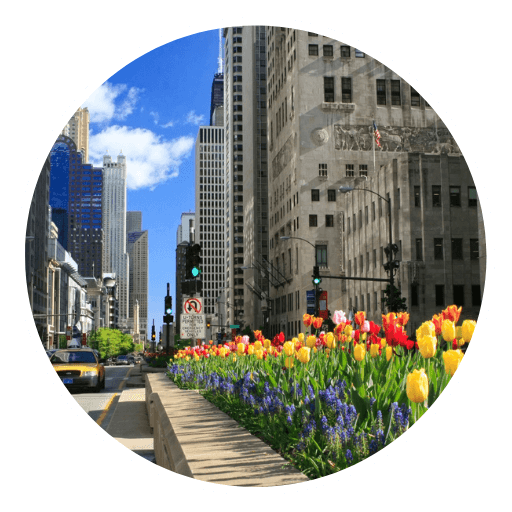 ES Camps - magnificent-mile