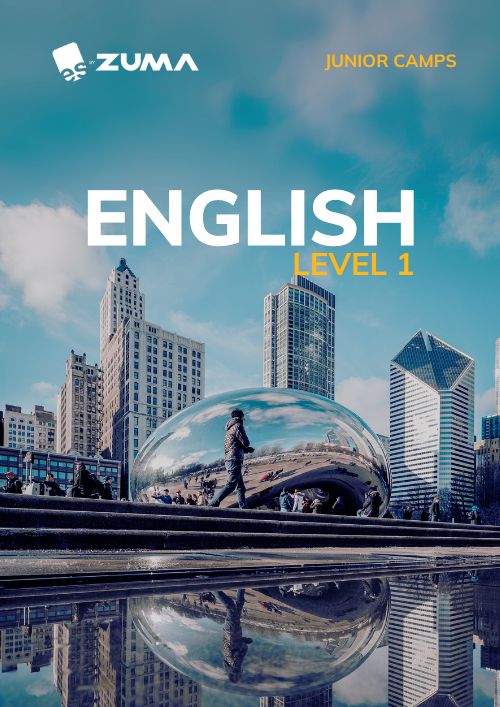 chicago-level1