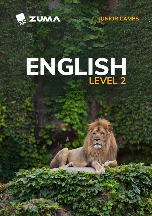 chicago-level2