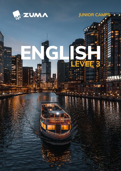 chicago-level3